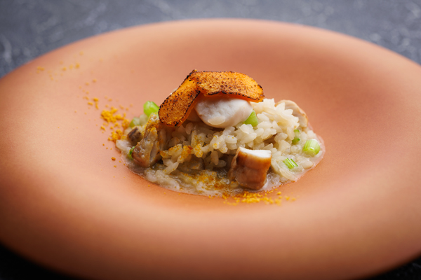長崎県産とらふぐのリゾット　白子添え