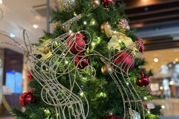 客室　イメージ