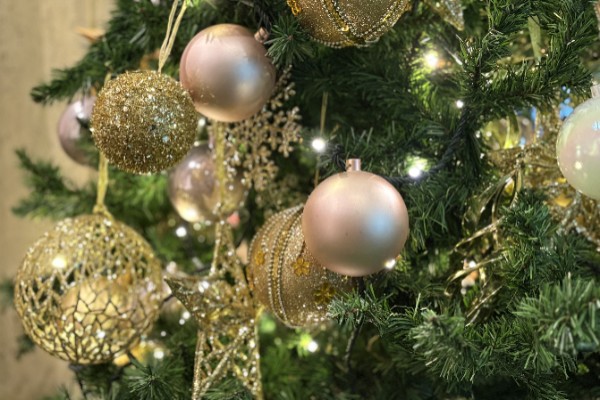 客室　イメージ