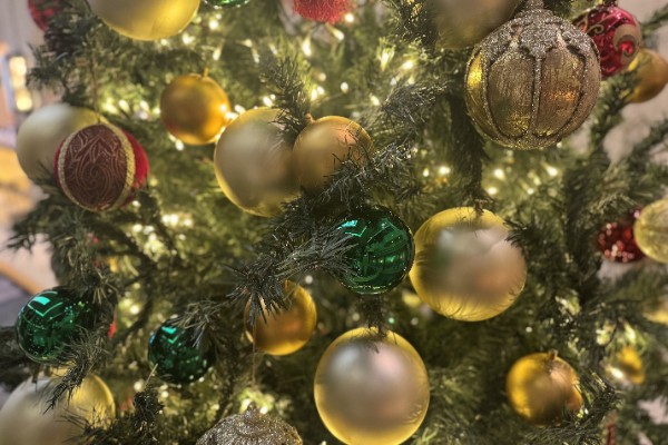 客室　イメージ