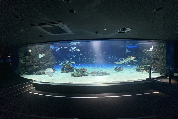 サンシャインラグーン