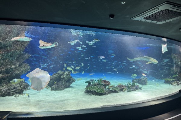 サンシャインラグーン