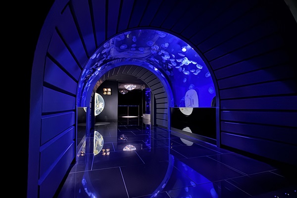 海月空感トンネル