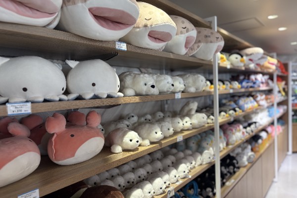 お土産コーナー