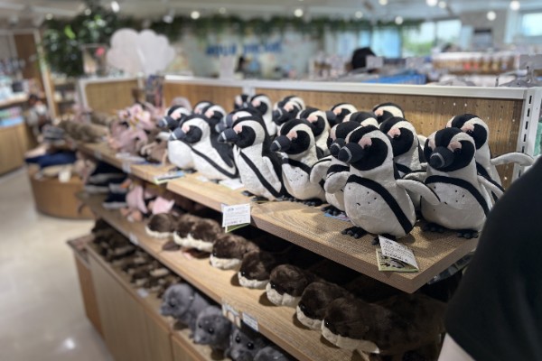 お土産コーナー